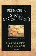 Fontána Přirozená strava našich předků