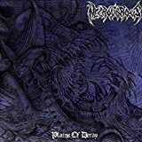Afm Plains Of Decay