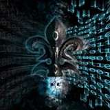 Afm New Reality L