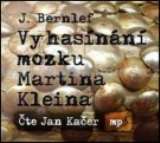 Kačer Jan Bernlef: Vyhasínání mozku Martina Kle