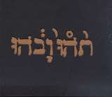 Godspeed You! Black Emperor Slow Riot
