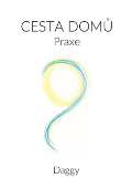 Šimon Ryšavý Cesta domů - Praxe
