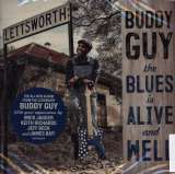 Guy Buddy Blues Is Alive And Well