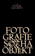 Dvořák Tomáš Fotografie, socha, objekt