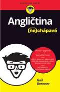 Svojtka Angličtina pro nechápavé