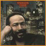 Gaye Marvin Midnight Love