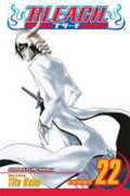 neuveden Bleach #22
