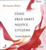 Tympanum Ware Bronnie: Čeho před smrtí nejvíce litujeme