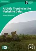 Cambridge University Press Camb Experience Rdrs Lvl 3 Lower-Int: Little Trouble in Yorkshire