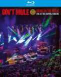 Gov't Mule Bring On The Music - Live at The Capitol Theatre