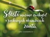 Madal Bal Štěstí musíme zachytit - plechová cedulka