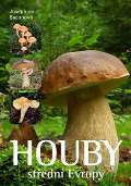 Slovart Houby střední Evropy