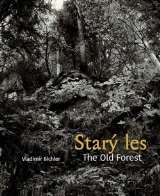 KANT Star les / The Old Forest