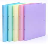 PASTELINI Pořadač PP A4 2kr. PASTELINI fialová