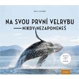 Nakladatelství Kazda Na svou první velrybu nikdy nezapomeneš