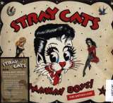 Stray Cats Runaway Boys