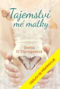 Brána Tajemství mé matky