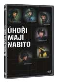 Magic Box Úhoři mají nabito DVD