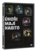 Magic Box hoi maj nabito DVD