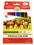 Koh-i-noor souprava trojhranch pastelek 12 ks