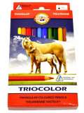  Koh-i-noor souprava trojhranch pastelek 24 ks