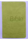 Biblion Bible, překlad 21. století (Green)