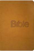 Biblion Bible, překlad 21. století (Gold kůže)