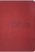 Biblion Bible, překlad 21. století (Coral kůže)