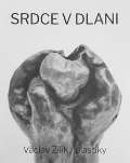 Žilík Václav Srdce v dlani / Plastiky