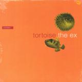 Tortoise & Ex In The Fishtank Series