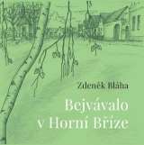 Nava Bejvávalo v Horní Bříze