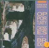 Forever Einstein Opportunity Crosses Bridg