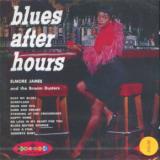 James Elmore Blues After Hours