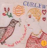 Curlew Meet The Curlews