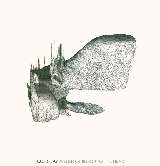 Coldplay A Rush Of Blood To The Head