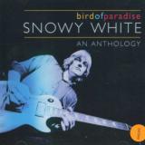 White Snowy Bird Of Paradise