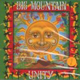 Big Mountain Unity