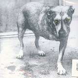 Alice In Chains Alice In Chains