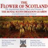 Warner Music Flower Of Scotland