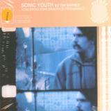 Sonic Youth Koncertas Stan Brakhage Prisiminimu