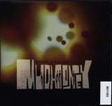 Mudhoney Under A Billion Suns