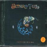 Jethro Tull Catfish Rising - Remastered