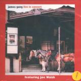 James Gang Live In Concert